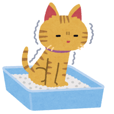ただフリ、ついに猫飼いだしちゃったよ
