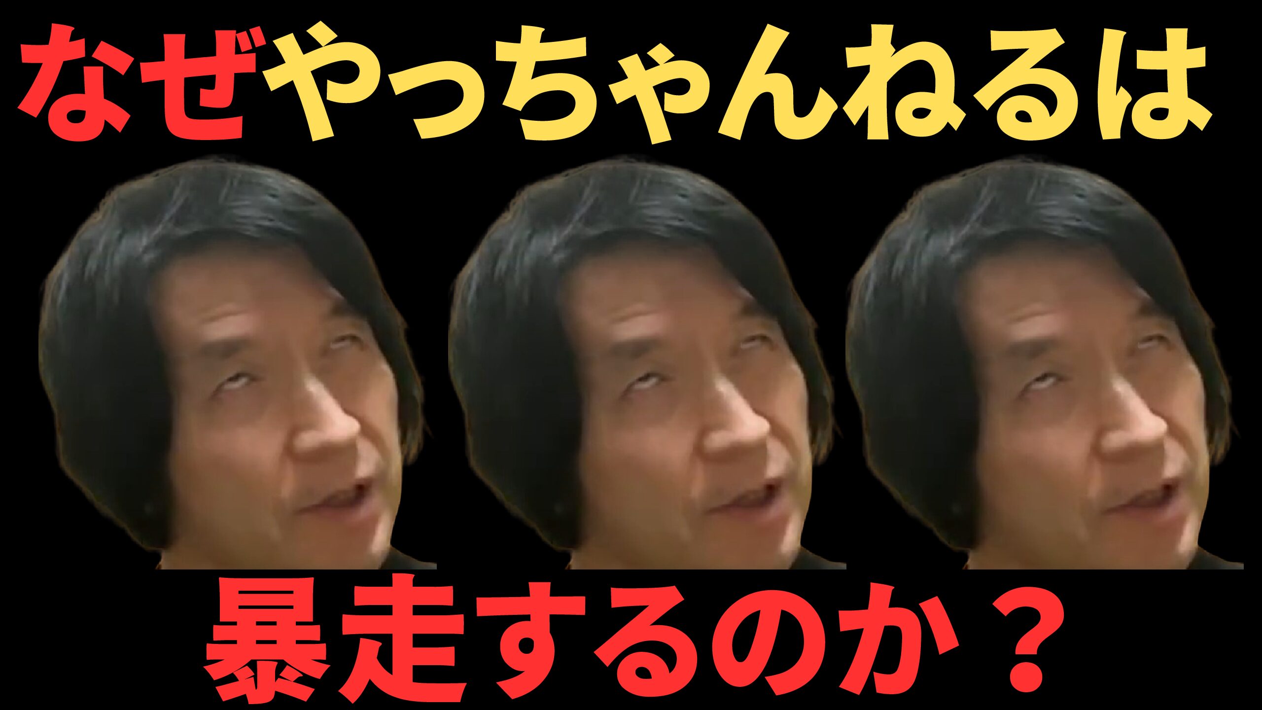 コメント欄で暴走が止まらない！薬が切れたのか？